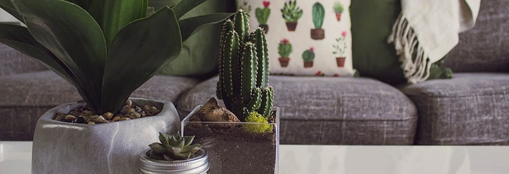 Pillar To Post Newsletter Vol. 20 No. 2